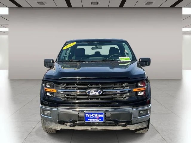 2025 Ford F-150 XLT photo 10