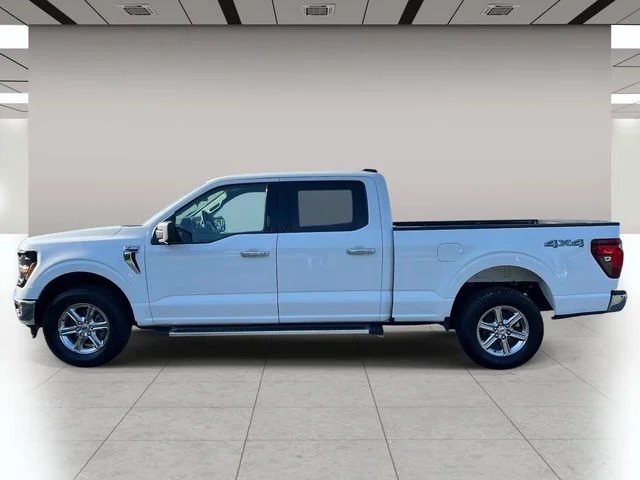 2024 Ford F-150 XLT photo 7