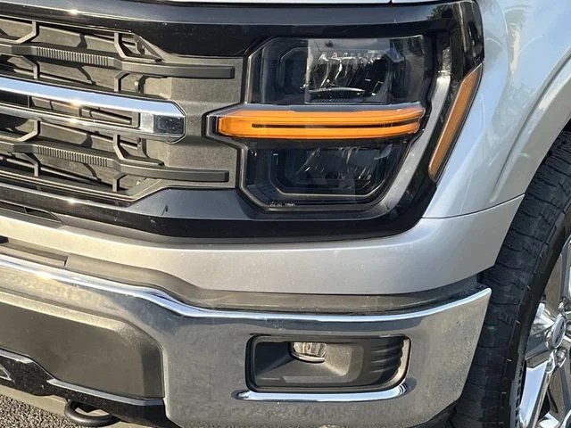 2025 Ford F-150 XLT photo 11