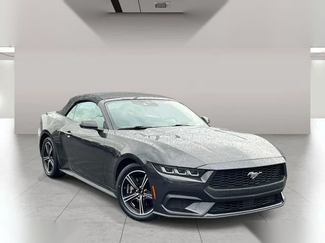 2024 Ford Mustang EcoBoost Premium photo 1
