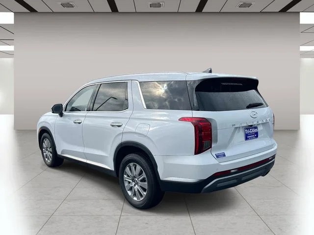 2025 Hyundai Palisade SEL photo 6
